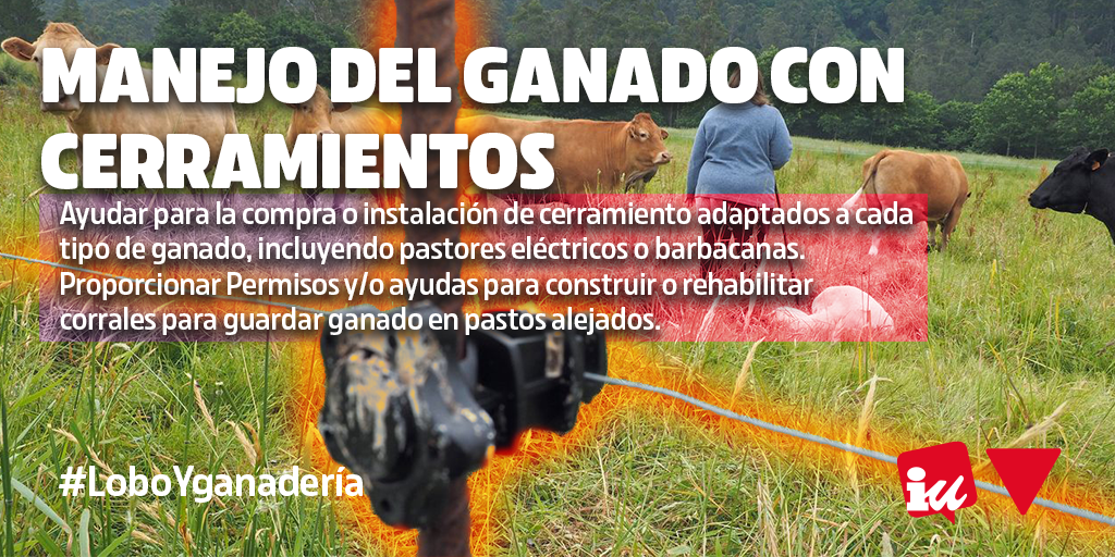 Manejo del ganado con cerramientos. La Junta de Castilla y León debe tomar medidas para la convivencia entre el lobo ibérico y la ganadería