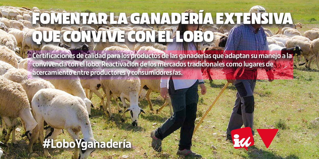 Fomentar la ganadería extensiva y sus productos que se desarrollan en convivencia con el lobo #LoboYGanadería 