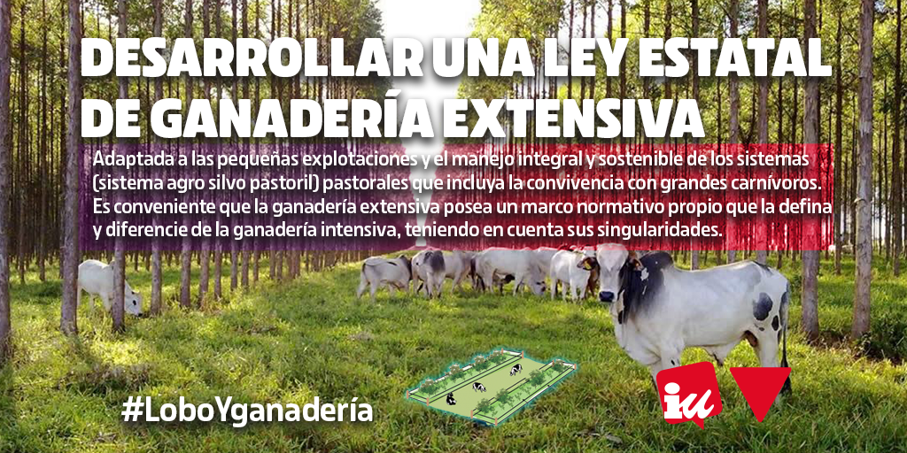 Hace falta a nivel estatal Desarrollar una Ley de Ganadería Extensiva #LoboYGanadería La Junta de Castilla y León debe tomar medidas para la convivencia entre el lobo ibérico y la ganadería