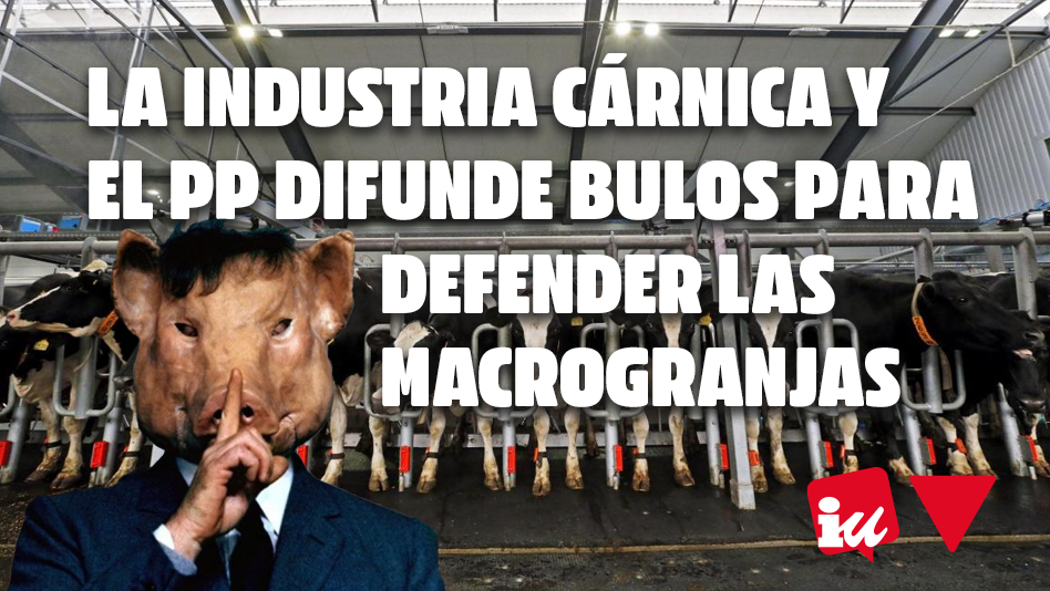 Exigimos a Mañueco que defienda a nuestra ganadería frente a las macrogranjas