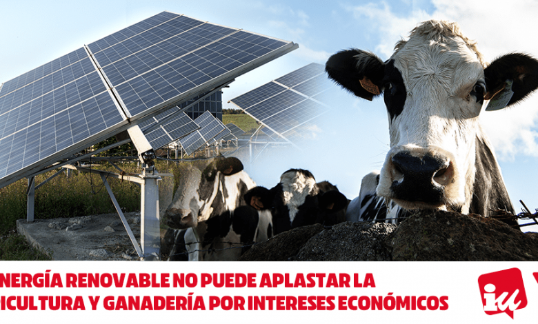 Macroproyectos vs agrario