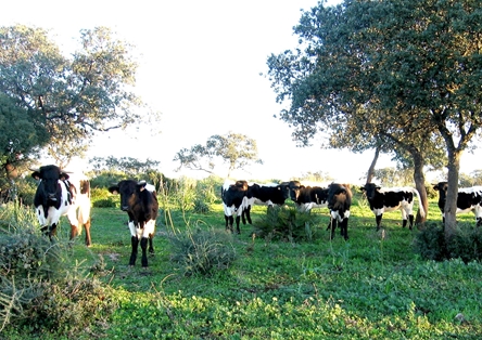 Foto: Ministerio de Agricultura